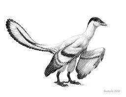 archaeopteryx sp by osmatar on deviantart prehistoric dinosaurs animals dinosaur art pages de livre coloriage poisson