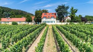 Check spelling or type a new query. Hotel Annaberg In Bad Durkheim Wohlfuhlort In Der Pfalz