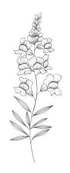 Explore thousands of inspiring classes for creative and curious people. 23 Snapdragons Ideas Snapdragons Snapdragon Flowers Botanical Prints