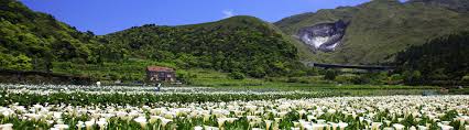 Places taipei, taiwan community organizationgovernment organization 陽明山國家公園. é™½æ˜Žå±± å°ç£å¥½æ¹¯