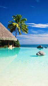 Pin On Wallpaper Summer