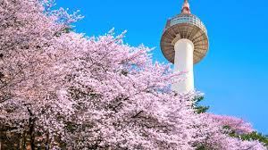 Wisata alam korea selatan lainnya yang bisa kamu kunjungi adalah air terjun yongso. 6 Tempat Wisata Di Korea Selatan Yang Wajib Disambangi Saat Berlibur Hot Liputan6 Com