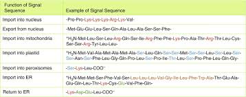 We did not find results for: Organelle Structure And Function Sciencedirect