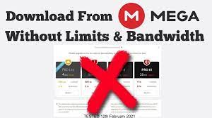 (chrome will warn, but it will download all the files once you allow chrome to.). How To Download Mega Files Without Limits 16 Easy Steps In 2021 Techrechard