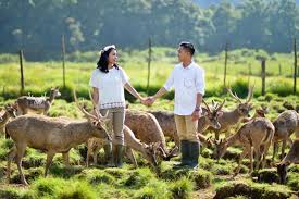 Check spelling or type a new query. Ranca Upas Bandung Info Lengkap Harga Tiket Dan Cara Ke Sana Klook Blog