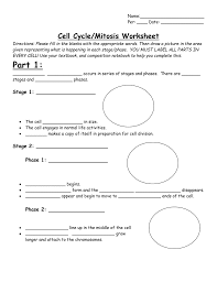 Meiosis review worksheet & more fillable forms, register and subscribe now! Cell Cycle And Mitosis Worksheet Answer Key Nidecmege