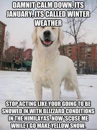 55 Funny Winter Memes That Are Relatable If You Live In The North Cold Weather Funny Cold Weather Memes Funny Weather
