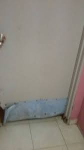 We did not find results for: Rumah Sewa Pasir Gudang Area Pasir Gudang Johor Malaysia Facebook