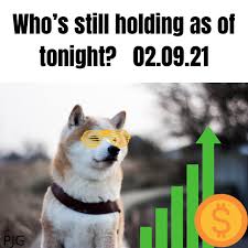 Doge, internet, wallpaper, wallpapers, animals. Who S Holding As Of Today February 9th Dogecoin