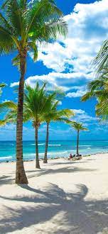 Iphone Xr Wallpaper 4k Beach Mywallpapers Site In 2021 Iphone Wallpaper Tropical Beautiful Summer Wallpaper Beautiful Beaches