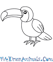 Head by justautumn on deviantart. How To Draw A Simple Toucan For Kids