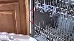 Dishwasher seal leaking