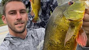 Fundraiser for Harrison Giles by Holden Giles : Harrison and the Giles  family for disabled care