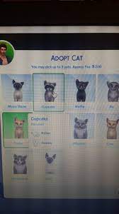 Get to know the animal and make friends with the pet and then take him home in the sims 4: Ummm I Think You Can Adopt A Raccoon Thesims