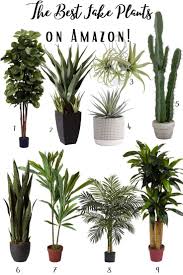 The Best Fake Indoor Plants On Amazon Cherrington Chatter In 2020 Fake Plants Decor Plant Decor Indoor Plant Decor