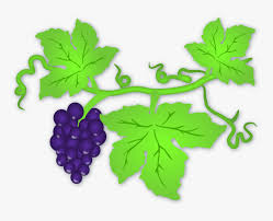 Pilih dari sumber gambar hd tabel anggur png dan unduh dalam bentuk png. Daun Anggur Vector Clip Art Grapes Leaf Hd Png Download Transparent Png Image Pngitem