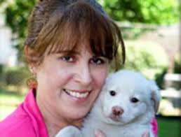 Decatur City Council votes 4-1 to fire animal shelter director over  mishandling of donations