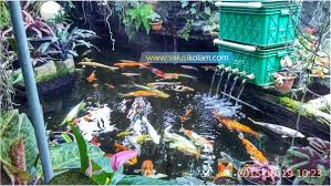 Makin ane mempelajari koi ternyata ane makin dalam mempelajari sistem filter untuk kolam koi. 5 Tips Cara Memelihara Ikan Koi Terbukti Berhasil