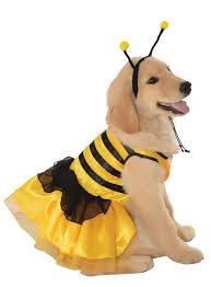 Pet Baby Bumblebee Halloween Costume Pet Costumes Pet Costumes For Dogs Cat Dog Costume