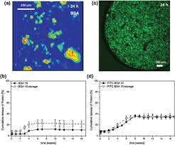 Batu is a federal constituency in the federal territories, malaysia, that has been represented in the dewan rakyat since 1986. Poly Lactic Co Glycolic Acid Devices Production And Applications For Sustained Protein Delivery Lee 2018 Wires Nanomedicine And Nanobiotechnology Wiley Online Library