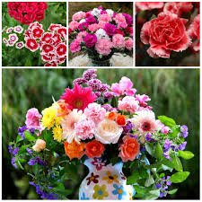 Unlike the other carnation colors, the yellow variety is associated with a much more sinister meaning: Carnations A History And Meaning Of The Flower