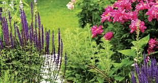 We did not find results for: Gardening In Maine Expert Advice Maine Homes By Down East