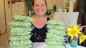 Sadly, they are on the dirty dozen list which means they are high in pesticides. Freezing Green Beans Without Blanching Them First Garden Harvest Preservation Youtube
