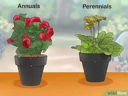 Check spelling or type a new query. How To Buy Potted Flowers 14 Steps With Pictures Wikihow