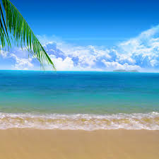 Check spelling or type a new query. Best Beach Ipad Hd Wallpapers Ilikewallpaper