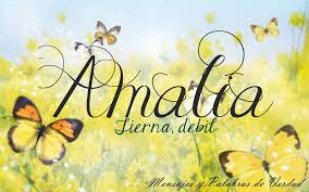 Amalia Morning Rose Butterfly Wallpaper Butterfly Background