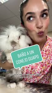 Conejos Peludos