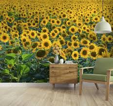 Sonnenblumen (helianthus) verdanken ihre beliebtheit den großen, freundlich wirkenden, leuchtend gelben blüten. Riesiges Sonnenblumenfeld Tapete Tenstickers