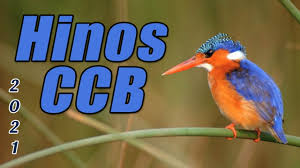 Hinos ccb para download gratis é um livro que provavelmente é bastante procurado no momento. Download Ccb Mp4 Mp3 3gp Naijagreenmovies Fzmovies Netnaija