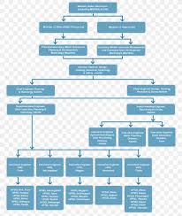 Organizational Chart Organizational Structure Matrix