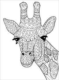 Coloriage à imprimer mandala en 40 modèles à croquer. 1001 Pages De Coloriage Anti Stress Pour Garder L Esprit Positif