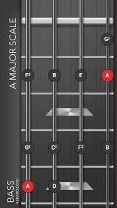Pin On Bass Strings