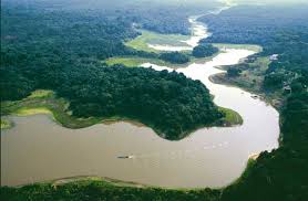 5 Longest Rivers In The World Yallabook