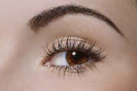 Kas Ve Kirpiklerinizi Ev Yapimi Dogal Ve Tamamen Bitkisel Maske Tarifleri Yardimi Ile Uzatmak Istiyorsaniz Tarifle Colored Hair Tips Skin Care Beauty Skin Care