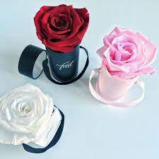 New The 10 Best Home Decor With Pictures How Cute Are These One Rose Boxes Ministryofflowers Mi Interior Blogger Nordic Home Interior Stylist