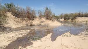 Perennial streams are contrasted with intermittent streams which normally cease… … What S So Special About Rivers That Run Dry Advanced Science News