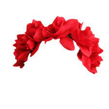 Tumblr Mp36ja9c9r1r11yp9o2 500 Png 442 442 Overlays Cute Flower Crown Flowers
