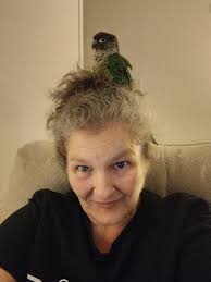 Hi, this is Mango. He's an 8 year old black cap green cheek conure that has  flown off this morning from home...he would be near the Irvine/Main Street  or Race Street area...I