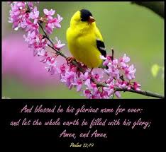 Birds And Blooms Contest Winners Pin On Book Of Psalms 72 79