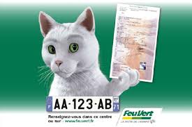 Le numéro d'immatriculation, attribué à vie au véhicule, est indépendant du domicile de son propriétaire.la plaque d'immatriculation doit comporter obligatoirement. Nouvelles Plaques Feu Vert S Occupe De Tout