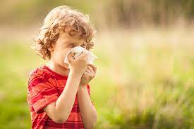 Hayfever Clinical Review Gponline