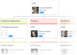 color coded org chart design with departments org charts