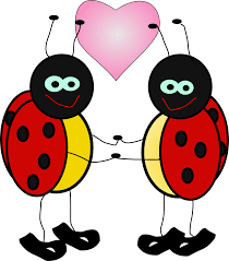 Lady Bugs Love Bugs Clip Art Ladybug Cartoon Cartoon Clip Art Ladybug