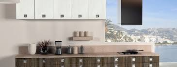 En acacia muebles contamos con un estilo que oscila entre la vanguardia y lo clásico, empleamos laminados plásticos con cantos en pvc y alumínicos, termoformados y una amplia variedad de maderas enchapadas. Laminados De Baja Presion O Melaminas Domus Fabrica De Muebles De Cocina En Guardo
