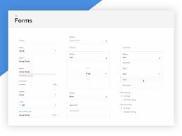 Forms States Design System Input Form Desktop Native App Form Design Web Design System Form