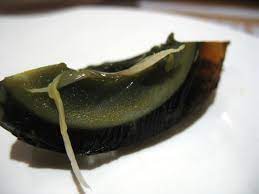 Unless You Like Toxic Chemicals Skip This Chinese Delicacy Smart News Smithsonian Magazine